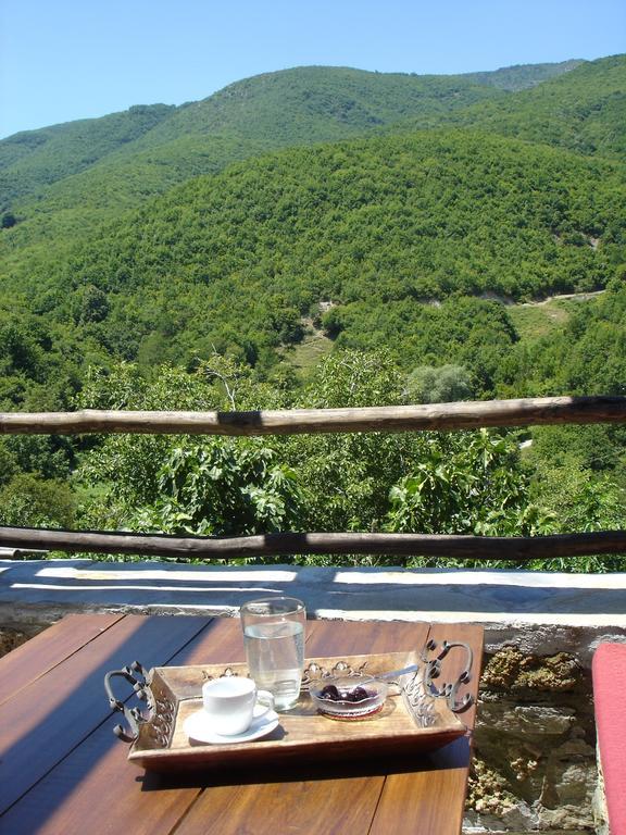 Villa Vadola Arkochorion Bagian luar foto